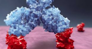 Θεραπεία για το Πολλαπλό Μυέλωμα εγκρίθηκε από την Ευρωπαϊκή Επιτροπή