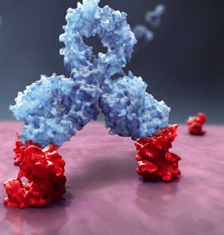 Θεραπεία για το Πολλαπλό Μυέλωμα εγκρίθηκε από την Ευρωπαϊκή Επιτροπή