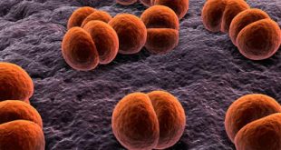 Μηνιγγίτιδα Β, νόσος υψίστης σημασίας για τη δημόσια υγεία, με σοβαρές συνέπειες για την ζωή