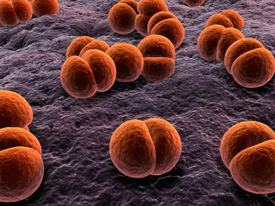 Μηνιγγίτιδα Β, νόσος υψίστης σημασίας για τη δημόσια υγεία, με σοβαρές συνέπειες για την ζωή