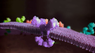 Φάρμακο ενδείκνυται για προχωρημένο ή μεταστατικό Μη Μικροκυτταρικό Καρκίνο του Πνεύμονα