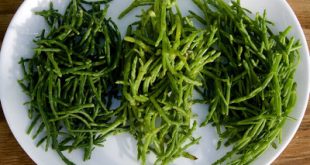 Αλμύρα η αλμυρή, χόρτα της θάλασσας. Ποιά η διατροφική τους αξία και πώς τρώγονται;