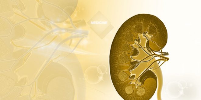 Διαβητική νεφροπάθεια: Συμπτώματα & παράγοντες κινδύνου