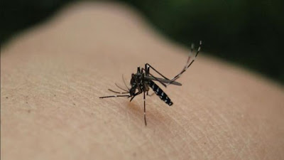 Σε «καραντίνα» Δήμοι, λόγω ελονοσίας - Ποιες περιοχές είναι σε «συναγερμό»