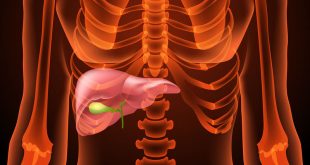 Ποιες είναι οι βασικές λειτουργίες του ήπατος