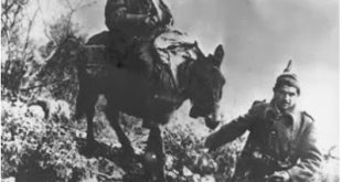 Η ιατρική περίθαλψη των τραυματιών και ασθενών το 1940