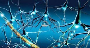 Με μεγάλη επιτυχία συνεχίζεται η έρευνα του Ιωάννη Ματσούκα για την Πολλαπλή Σκλήρυνση