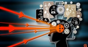 Τι συμβαίνει στον εγκέφαλό μας όταν μαθαίνουμε κάτι;