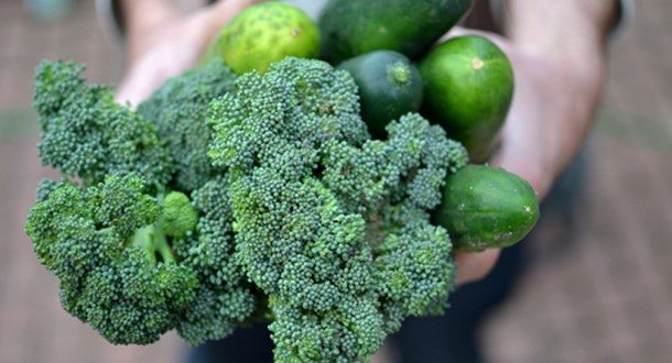 Βρέθηκε το ένζυμο της νεότητας;