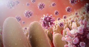 Αύξηση της συχνότητας εμφάνισης γαστρεντερίτιδας από ιούς τη χειμερινή περίοδο 2016-2017