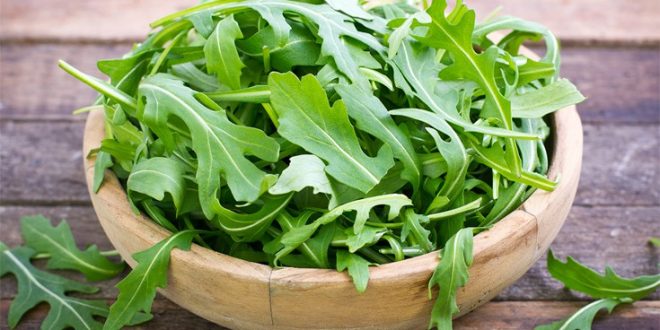 Οι ευεργετικές ιδιότητες της ρόκας