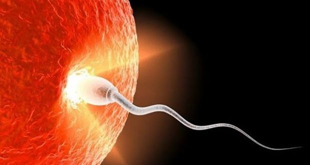 Τονώστε το σπέρμα σας… φυσικά