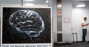 Η μουσική και το σεξ ενεργοποιούν την ίδια περιοχή του εγκεφάλου