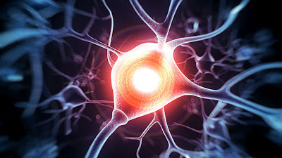 Τα δισκία κλαδριβίνης μείωσαν σημαντικά την ατροφία εγκεφάλου σε ασθενείς με πολλαπλή σκλήρυνση