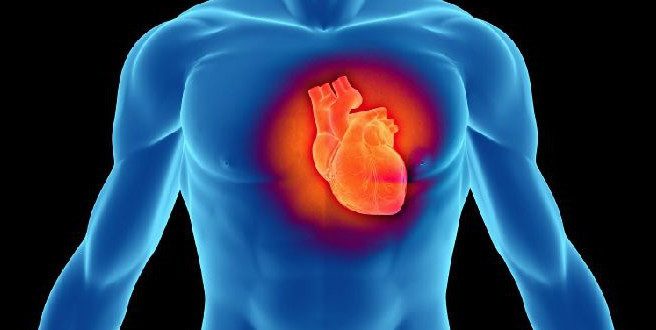 Φυτικές ίνες, ένα φυσικό φάρμακο για την καρδιά μας