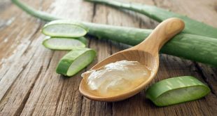 Τα τρία βασικά οφέλη της αλόης