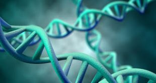 Ανακαλύφθηκαν εκατοντάδες γονίδια που φέρνουν πρόωρη εφηβεία στα κορίτσια