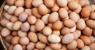 Πόσα αυγά την εβδομάδα οφελούν τον οργανισμό