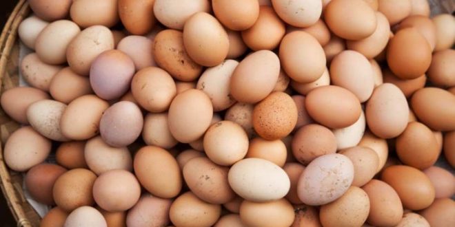 Πόσα αυγά την εβδομάδα οφελούν τον οργανισμό