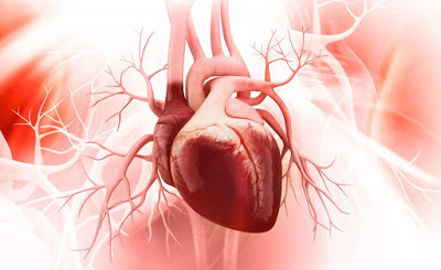 Τι είναι η CRP (C αντιδρώσα πρωτεΐνη); Πόσο χρήσιμη είναι στη διάγνωση φλεγμονής αλλά και στην πρόληψη καρδιακής προσβολής;