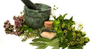 Το οπλοστάσιο της φύσης: Βότανα και οι θεραπευτικές τους ιδιότητες ανά ασθένεια