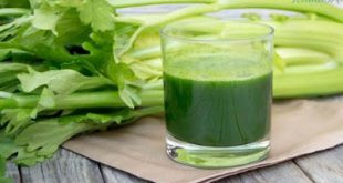 Το σέλερι και οι σπόροι του για την δίαιτα, την πίεση, τα οστά, κατά του καρκίνου, του στρες, της αϋπνίας.