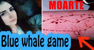 «Μπλε Φάλαινα»: Προσοχή από την ΕΛ.ΑΣ. για επικίνδυνο διαδικτυακό παιχνίδι