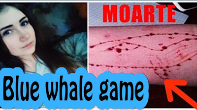 «Μπλε Φάλαινα»: Προσοχή από την ΕΛ.ΑΣ. για επικίνδυνο διαδικτυακό παιχνίδι
