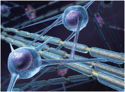 Δεδομένα για τον Φουμαρικό Διμεθυλεστέρα και τη Ναταλιζουμάμπη καταδεικνύουν ότι η έγκαιρη έναρξη θεραπείας στην Πολλαπλή Σκλήρυνση οδηγεί σε βελτιωμένα αποτελέσματα