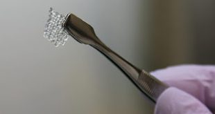 Δημιουργήθηκαν τρισδιάστατα εκτυπωμένες ωοθήκες που παρήγαγαν υγιή ποντικάκια από στείρες μητέρες