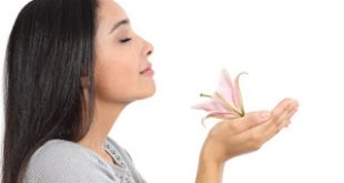 Η ανθρώπινη όσφρηση είναι πολύ καλύτερη από ό,τι πιστεύουν οι περισσότεροι