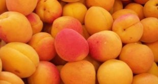 Τα τρία μεγάλα οφέλη του βερίκοκου