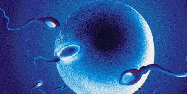 Οι τροφές που ενισχύουν την ανδρική γονιμότητα