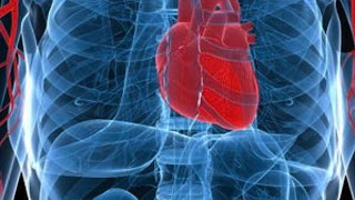 Πρωτοπορεί το "ΑΤΤΙΚΟΝ" νοσοκομείο στη διάγνωση των καρδιακών νοσημάτων με νέο σύγχρονο τεχνολογικό εξοπλισμό