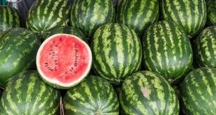 Πώς θα διαλέξετε το πιο γλυκό καρπούζι
