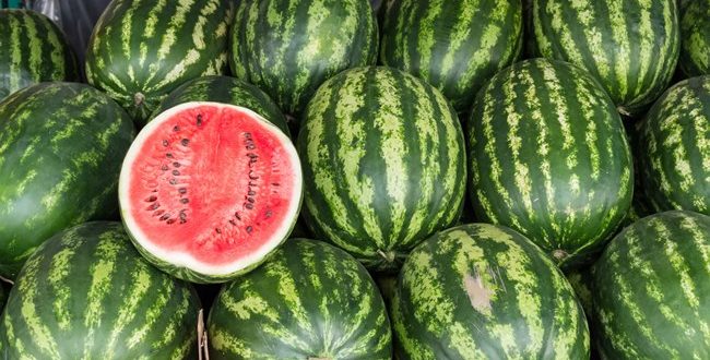 Πώς θα διαλέξετε το πιο γλυκό καρπούζι