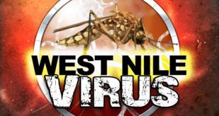 Το πρώτο περιστατικό από τον ιό του Δυτικού Νείλου για το 2017