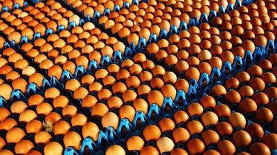 Δεν υπάρχει ανησυχία για μολυσμένα αβγά στη χώρα