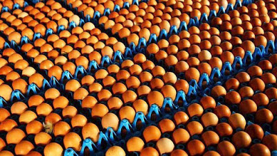 Δεν υπάρχει ανησυχία για μολυσμένα αβγά στη χώρα