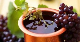 Δράσεις που προωθούν τον εναλλακτικό τουρισμό στα «Οινοξένεια 2017»