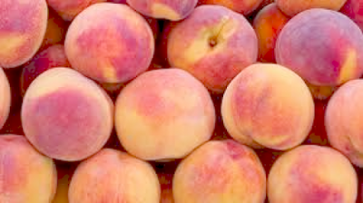 Δωρεά 20.410 κιλά νεκταρίνια στο Κοινωνικό Παντοπωλείο δήμου Χανίων από την Οργάνωση Παραγωγών ΑΣ ΠΕΛΛΑΣ