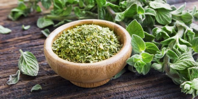 Οι ευεργετικές ιδιότητες της ρίγανης