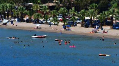 Οι πλαστικές σακούλες είναι από τα πλέον θανατηφόρα απορρίμματα για τη θαλάσσια ζωή