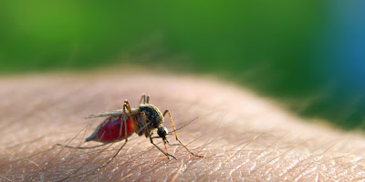 Σε καραντίνα χωριά της Θήβας υπό τον κίνδυνο ελονοσίας!