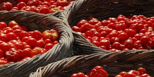 Τέσσερα πράγματα που πρέπει να ξέρετε για την ντομάτα