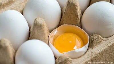 Τι είναι το fipronil που βρέθηκε στα αυγά και πόσο επικίνδυνο είναι για τον άνθρωπο; Είναι καρκινογόνο;
