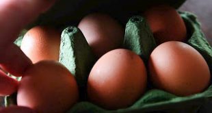 Το σκάνδαλο των μολυσμένων αυγών πλήττει 15 χώρες