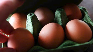 Το σκάνδαλο των μολυσμένων αυγών πλήττει 15 χώρες