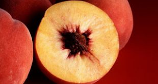 Δωρεάν διανομή φρούτων θα πραγματοποιήσει ο Δήμος Χαλανδρίου