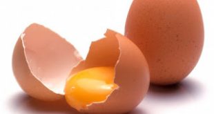 Όλα τα καλά αρχίζουν με ένα αυγό!